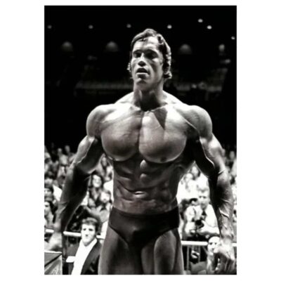 Arnold Schwarzenegger Bodybuilding Wall Art Printed on Canvas - Image 3