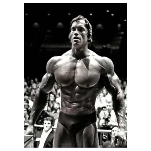 Arnold Schwarzenegger 2 1