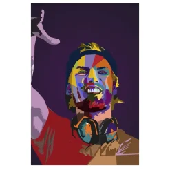 Avicii DJ Musician and Songwriter Paintings Printed on Canvas - Image 3