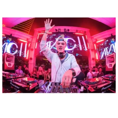 Avicii DJ Musician and Songwriter Paintings Printed on Canvas - Image 9