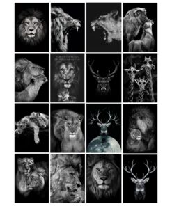 Lions and Other Animals