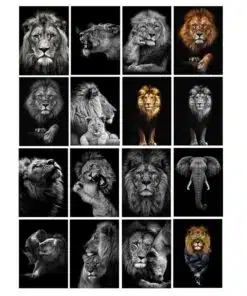 Lions and Other Animals