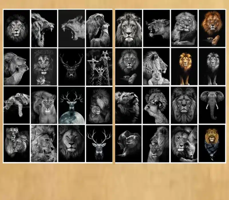 Lions and Other Animals Pictures Printed on Canvas