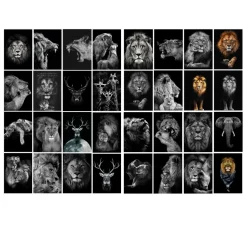 Lions and Other Animals Pictures Printed on Canvas