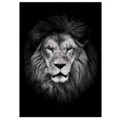 Lions and Other Animals Pictures Printed on Canvas - Image 2