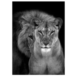 Lions and Other Animals Pictures Printed on Canvas - Image 11