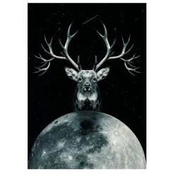 Lions and Other Animals Pictures Printed on Canvas - Image 12