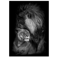 Lions and Other Animals Pictures Printed on Canvas - Image 13