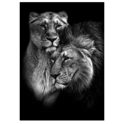 Lions and Other Animals Pictures Printed on Canvas - Image 14