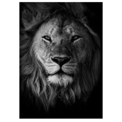 Lions and Other Animals Pictures Printed on Canvas - Image 16