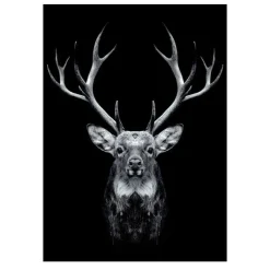 Lions and Other Animals Pictures Printed on Canvas - Image 17