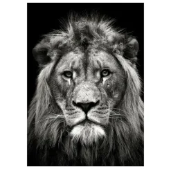 Lions and Other Animals Pictures Printed on Canvas - Image 18