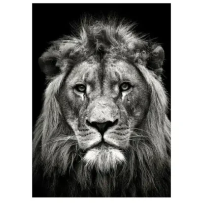 Lions and Other Animals Pictures Printed on Canvas - Image 18