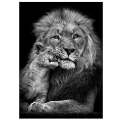 Lions and Other Animals Pictures Printed on Canvas - Image 20