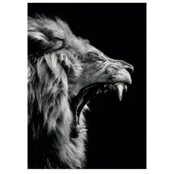 Lions and Other Animals Pictures Printed on Canvas - Image 3