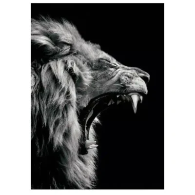 Lions and Other Animals Pictures Printed on Canvas - Image 3