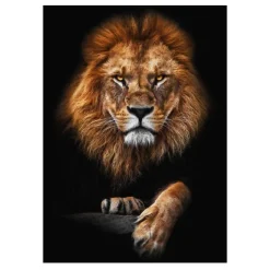 Lions and Other Animals Pictures Printed on Canvas - Image 21