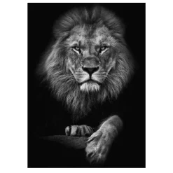 Lions and Other Animals Pictures Printed on Canvas - Image 22