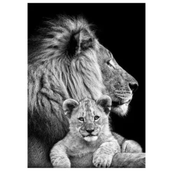 Lions and Other Animals Pictures Printed on Canvas - Image 23