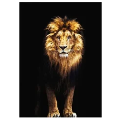 Lions and Other Animals Pictures Printed on Canvas - Image 24