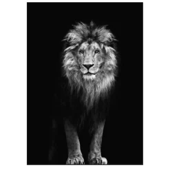 Lions and Other Animals Pictures Printed on Canvas - Image 25