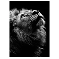 Lions and Other Animals Pictures Printed on Canvas - Image 26