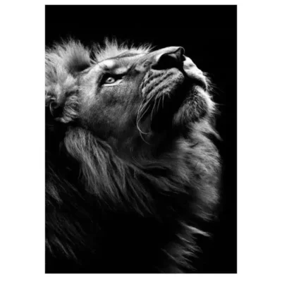 Lions and Other Animals Pictures Printed on Canvas - Image 26