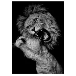 Lions and Other Animals Pictures Printed on Canvas - Image 27