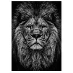 Lions and Other Animals Pictures Printed on Canvas - Image 28