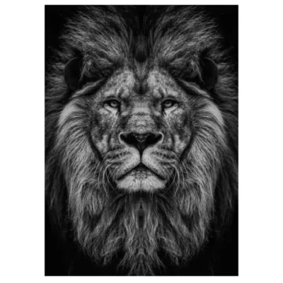 Lions and Other Animals Pictures Printed on Canvas - Image 28