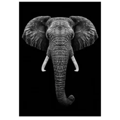 Lions and Other Animals Pictures Printed on Canvas - Image 29