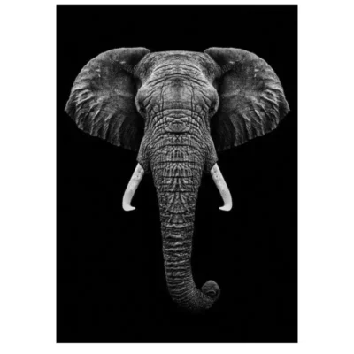 Lions and Other Animals Pictures Printed on Canvas - Image 29