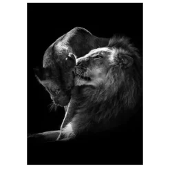 Lions and Other Animals Pictures Printed on Canvas - Image 30