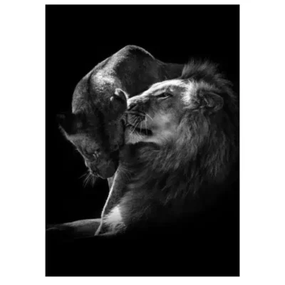 Lions and Other Animals Pictures Printed on Canvas - Image 30