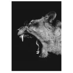 Lions and Other Animals Pictures Printed on Canvas - Image 4