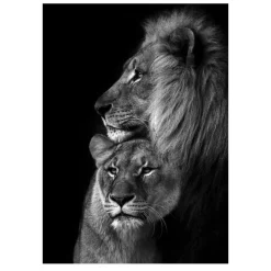 Lions and Other Animals Pictures Printed on Canvas - Image 31