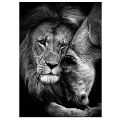Lions and Other Animals Pictures Printed on Canvas - Image 32