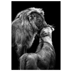 Lions and Other Animals Pictures Printed on Canvas - Image 5