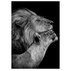 Lions and Other Animals Pictures Printed on Canvas - Image 6