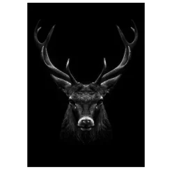 Lions and Other Animals Pictures Printed on Canvas - Image 8
