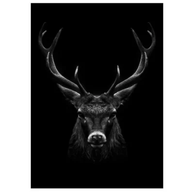 Lions and Other Animals Pictures Printed on Canvas - Image 8