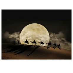 Moon Night and Camels in Desert