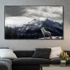Mountain Wolf Artwork Printed on Canvas