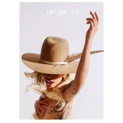 Pictures of Lady Gaga Wall Art Printed on Canvas - Image 2