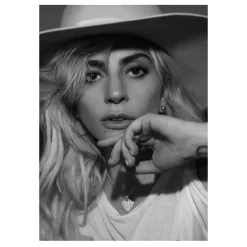 Pictures of Lady Gaga Wall Art Printed on Canvas - Image 4