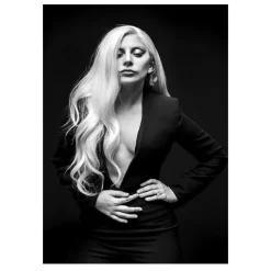Pictures of Lady Gaga Wall Art Printed on Canvas - Image 7