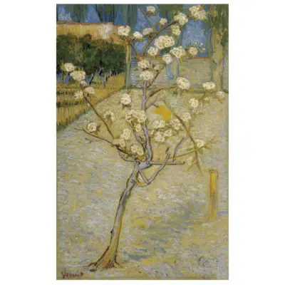 Vincent van Gogh 1888 Pear Tree in Blossom