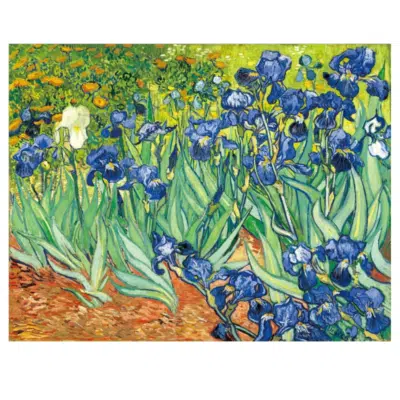 Vincent van Gogh 1889 Irises