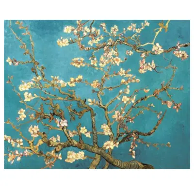 Vincent van Gogh 1890 Almond Blossom