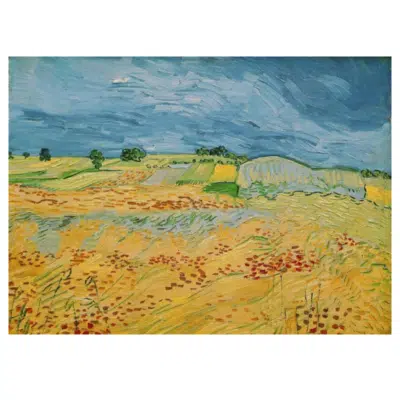 Vincent van Gogh 1890 The Fields